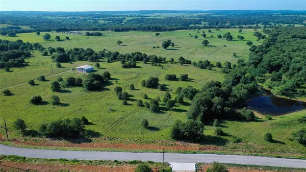 an aerial view of huge green field with lots of green plants