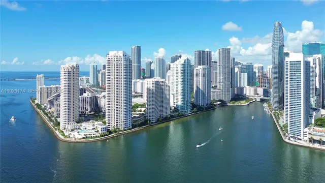 a view of a living room with a potted plant