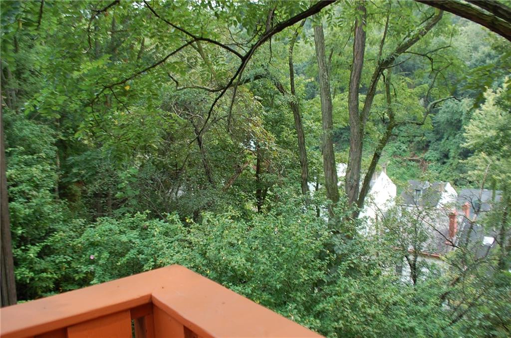 46 Solar Street Pittsburgh, PA 15212 - Photo 21 of 25 Enjoy The Outdoors !