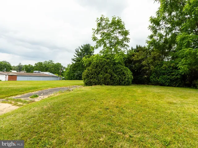 a view of a field with an ocean