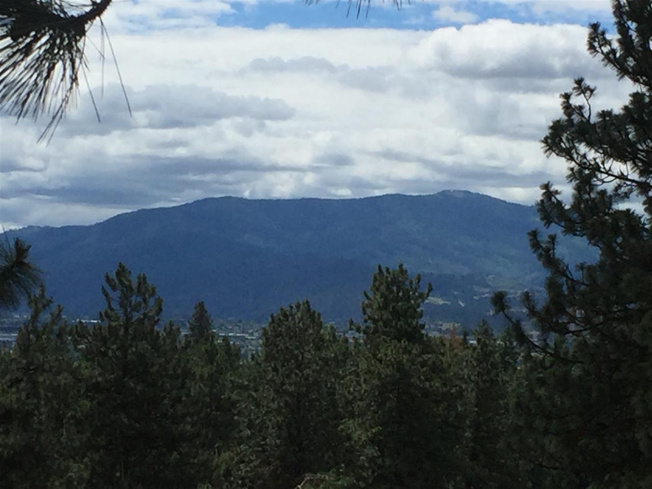 0 North Harvard Road Newman Lake, WA 99025 - Photo 5 of 14