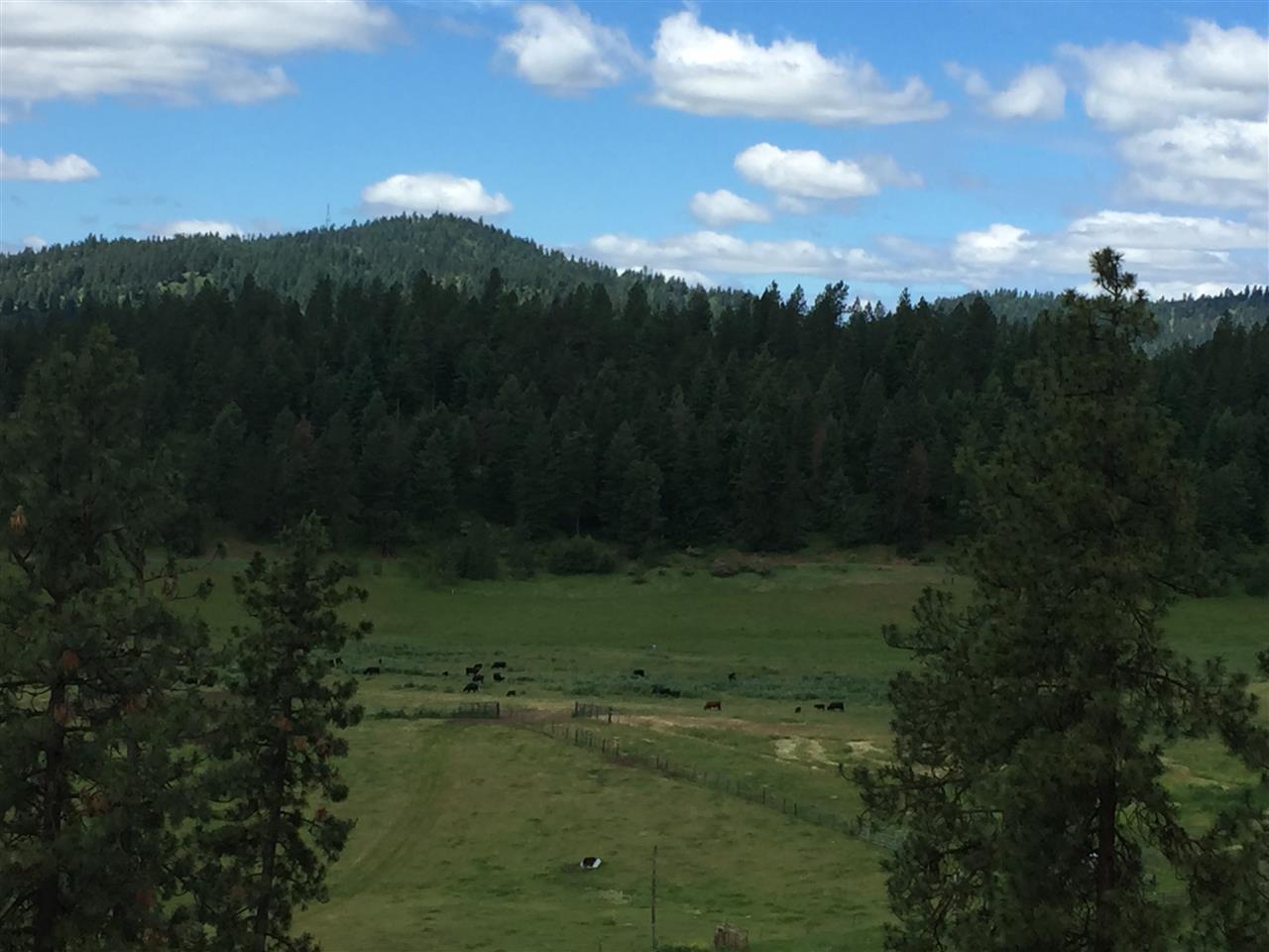 0 North Harvard Road Newman Lake, WA 99025 - Photo 6 of 14