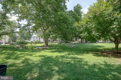 a view of a park with trees and grass