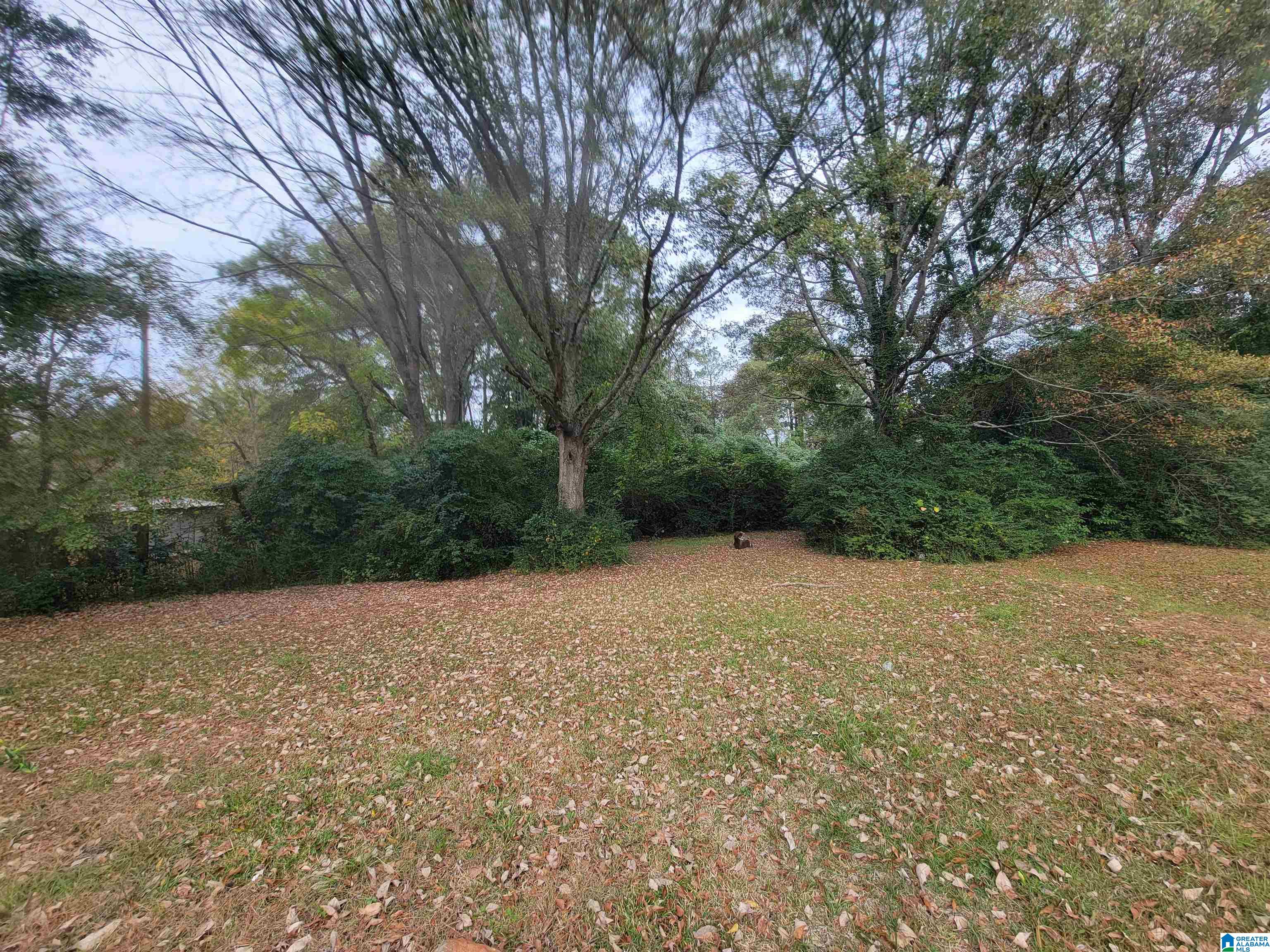 175 Rock Mills Road Roanoke, AL 36274 - Photo 18 of 18