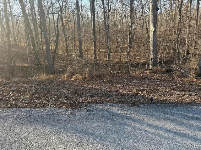 $55,000 | 16 Wagon Creek Loop, Creal Springs, IL 62922