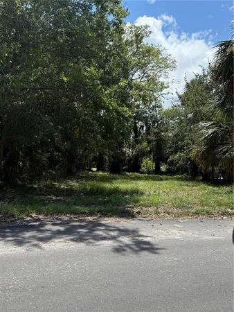 a view of a yard in front of a house