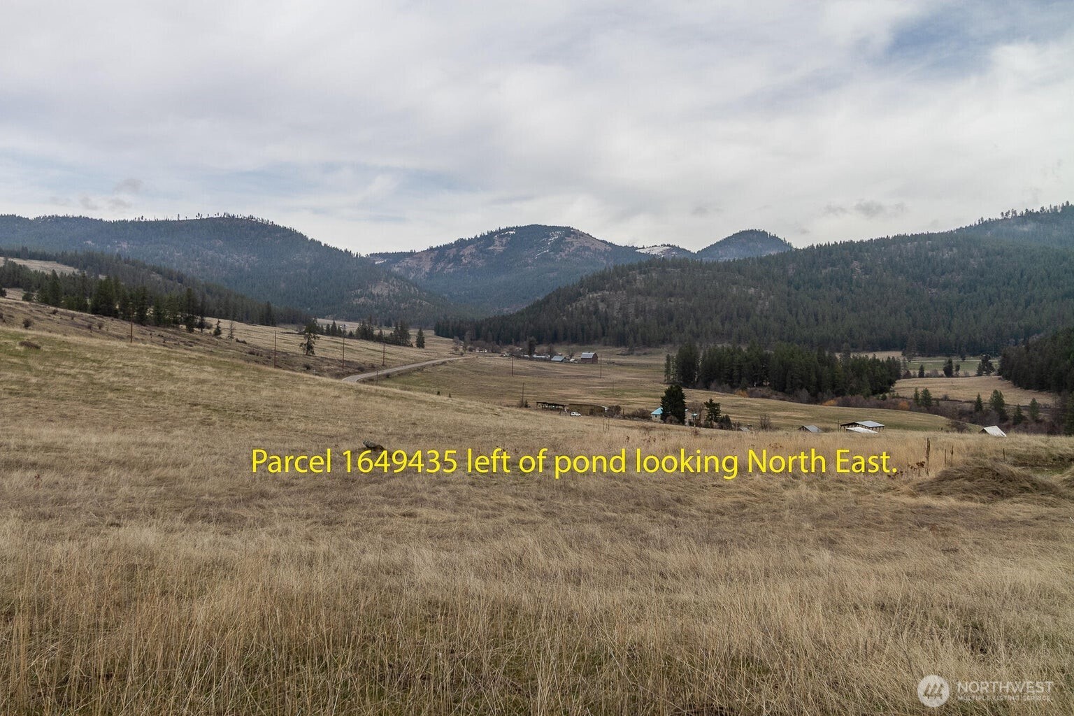 3600-block Beck Road Rice, WA 99167 - Photo 6 of 23 a view of a lake with a mountain in the back