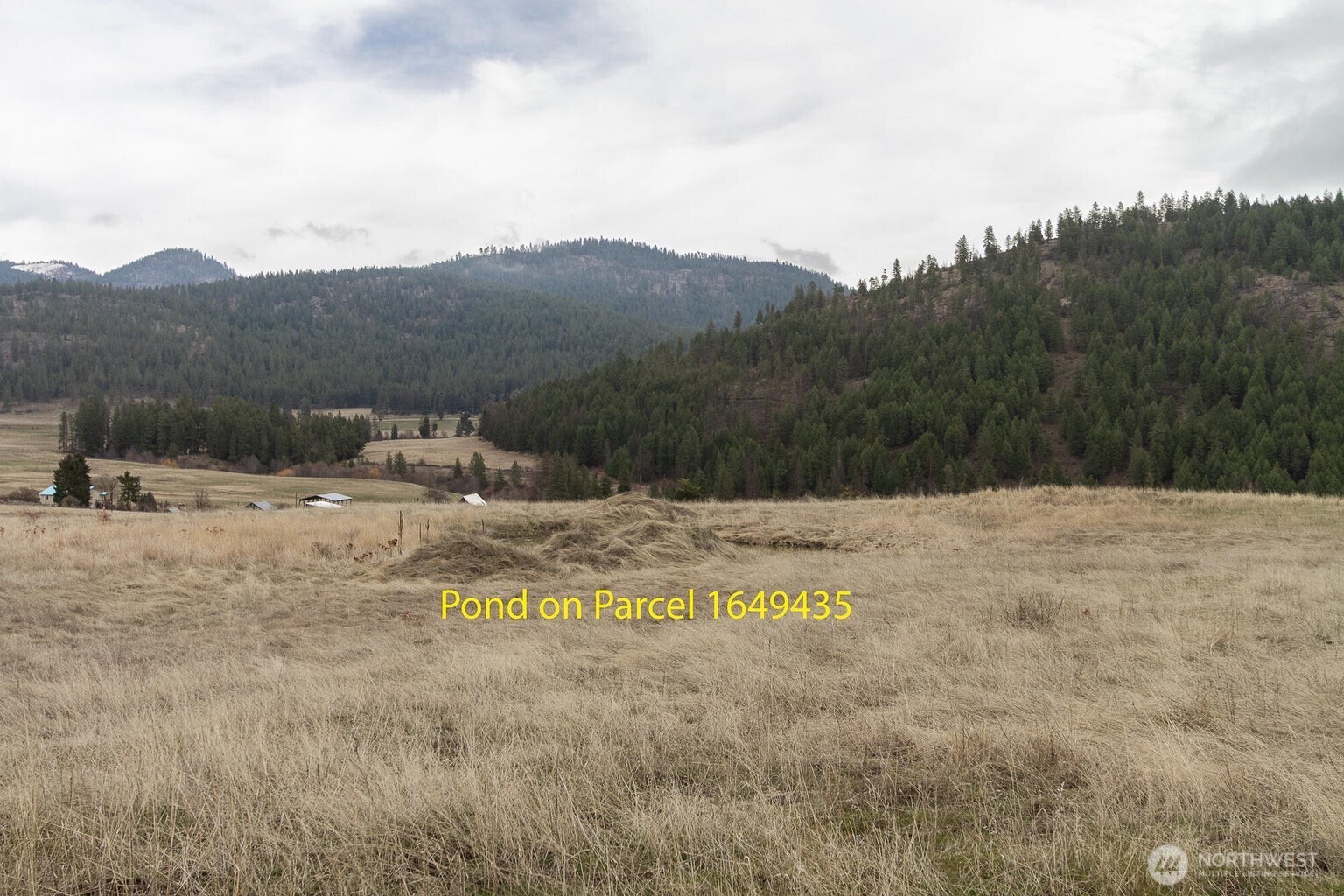 3600-block Beck Road Rice, WA 99167 - Photo 7 of 23 a view of a dry yard with mountains