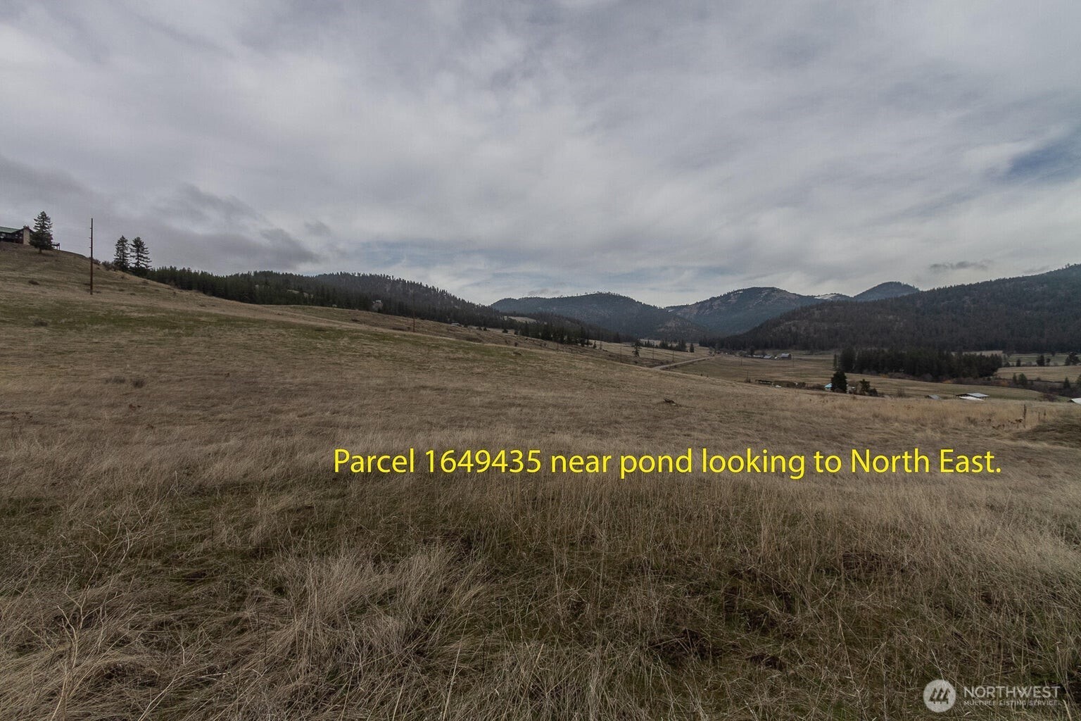 3600-block Beck Road Rice, WA 99167 - Photo 9 of 23 a view of a lake with a mountain in the background