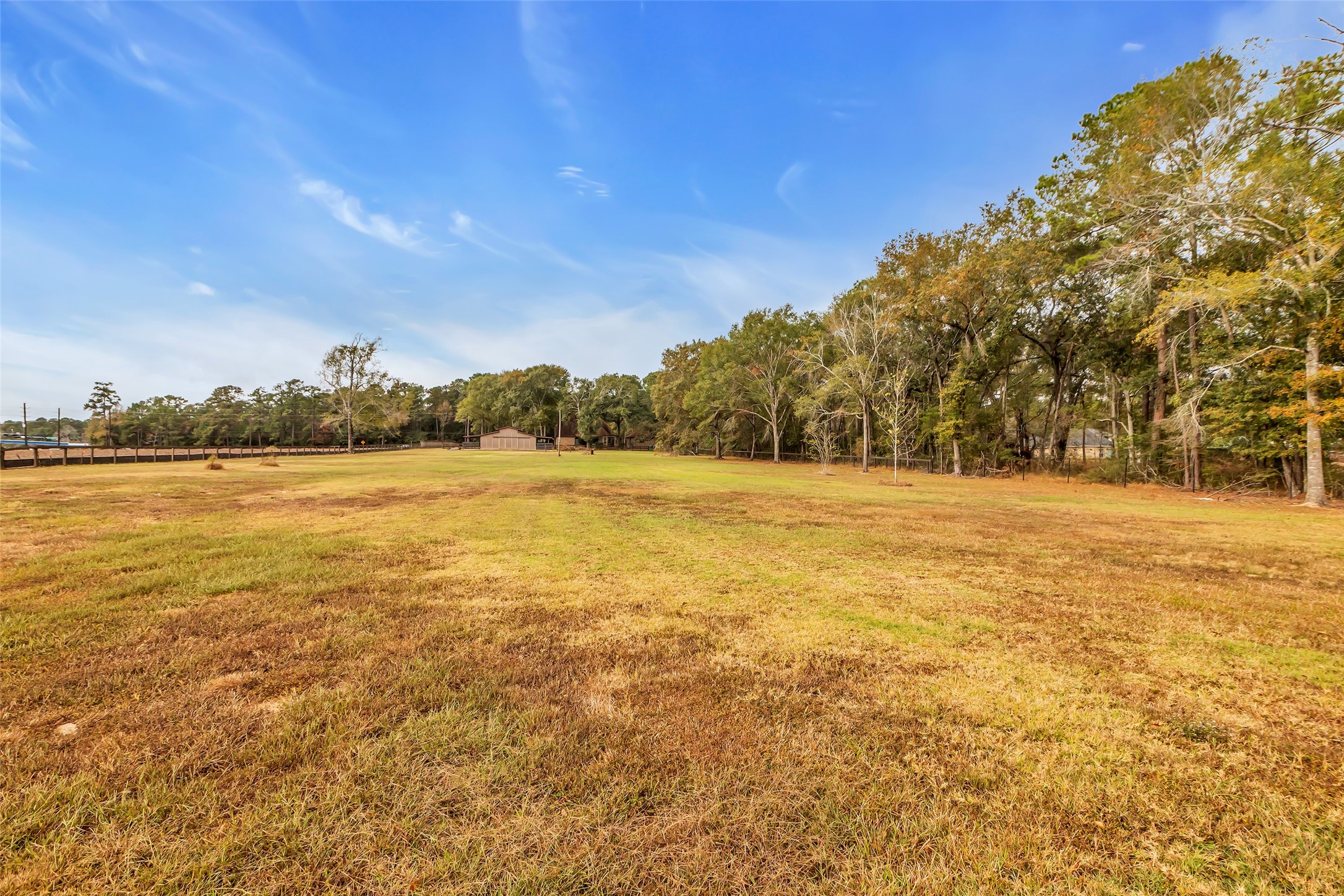 28414 Dobbin-Huffsmith Road Magnolia, TX 77354 - Photo 39 of 39 Room to Roam
