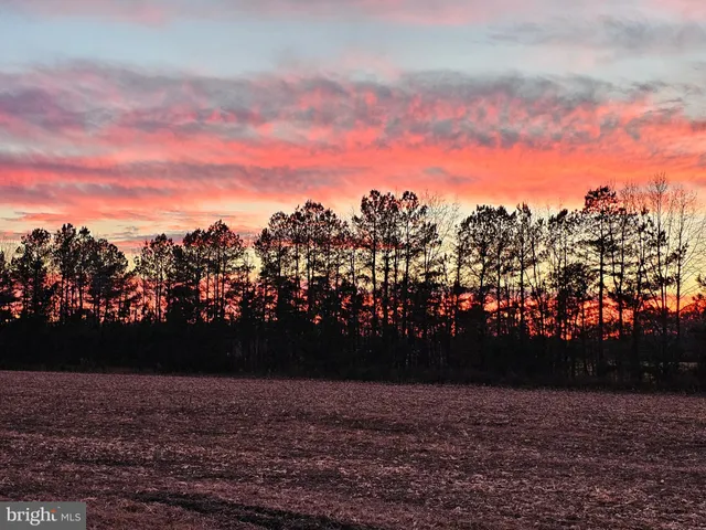 $99,900 | Lot 7 Mourning Dove Way, Delmar, MD 21875