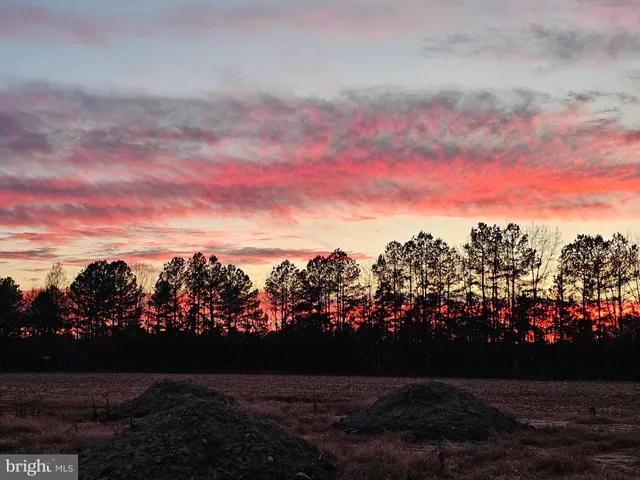 $99,900 | Lot 7 Mourning Dove Way, Delmar, MD 21875