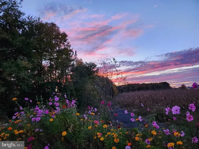 $99,900 | Lot 7 Mourning Dove Way, Delmar, MD 21875