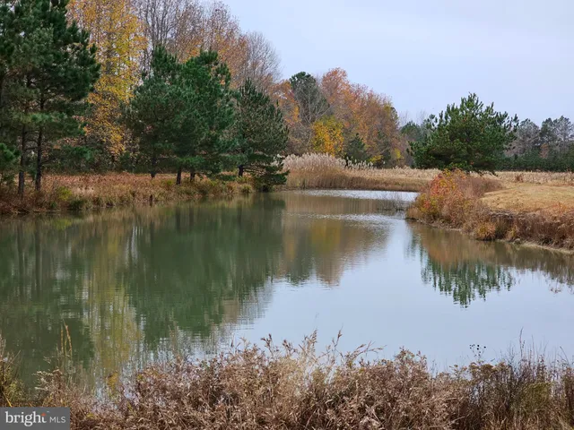 $99,900 | Lot 7 Mourning Dove Way, Delmar, MD 21875