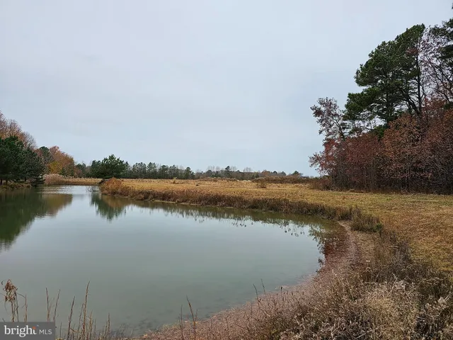 $99,900 | Lot 7 Mourning Dove Way, Delmar, MD 21875