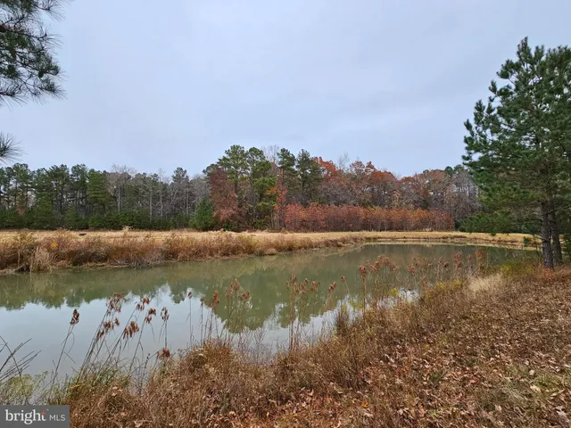 $99,900 | Lot 7 Mourning Dove Way, Delmar, MD 21875