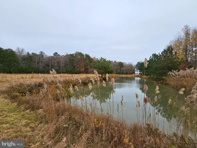 $99,900 | Lot 7 Mourning Dove Way, Delmar, MD 21875