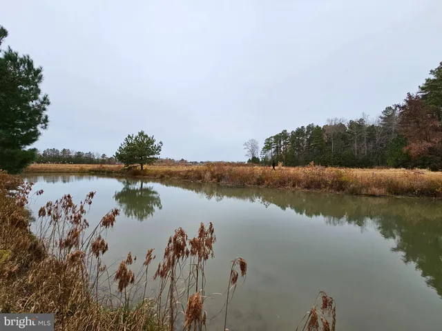 $99,900 | Lot 7 Mourning Dove Way, Delmar, MD 21875