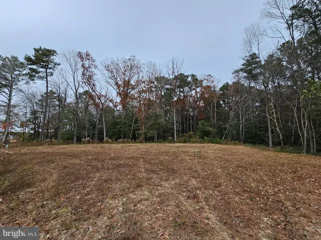 $99,900 | Lot 7 Mourning Dove Way, Delmar, MD 21875