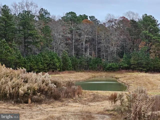 $99,900 | Lot 7 Mourning Dove Way, Delmar, MD 21875