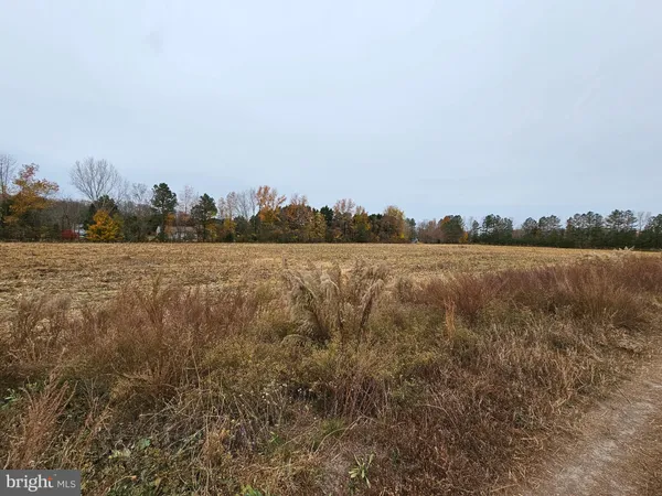 $89,900 | Lot 7 Mourning Dove Way, Delmar, MD 21875