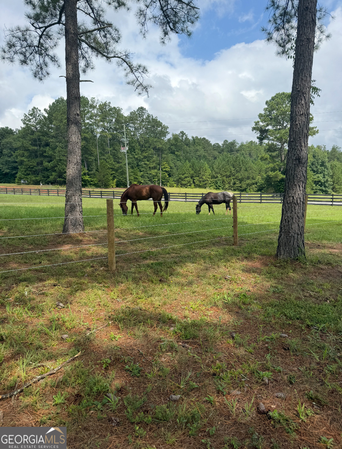 950 Island Shoals Road Jackson, GA 30233 - Photo 16 of 20 a view of a park