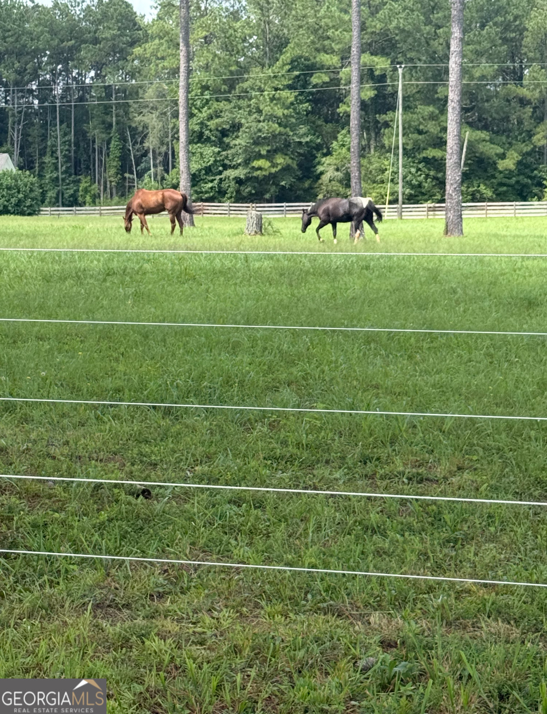 950 Island Shoals Road Jackson, GA 30233 - Photo 17 of 20