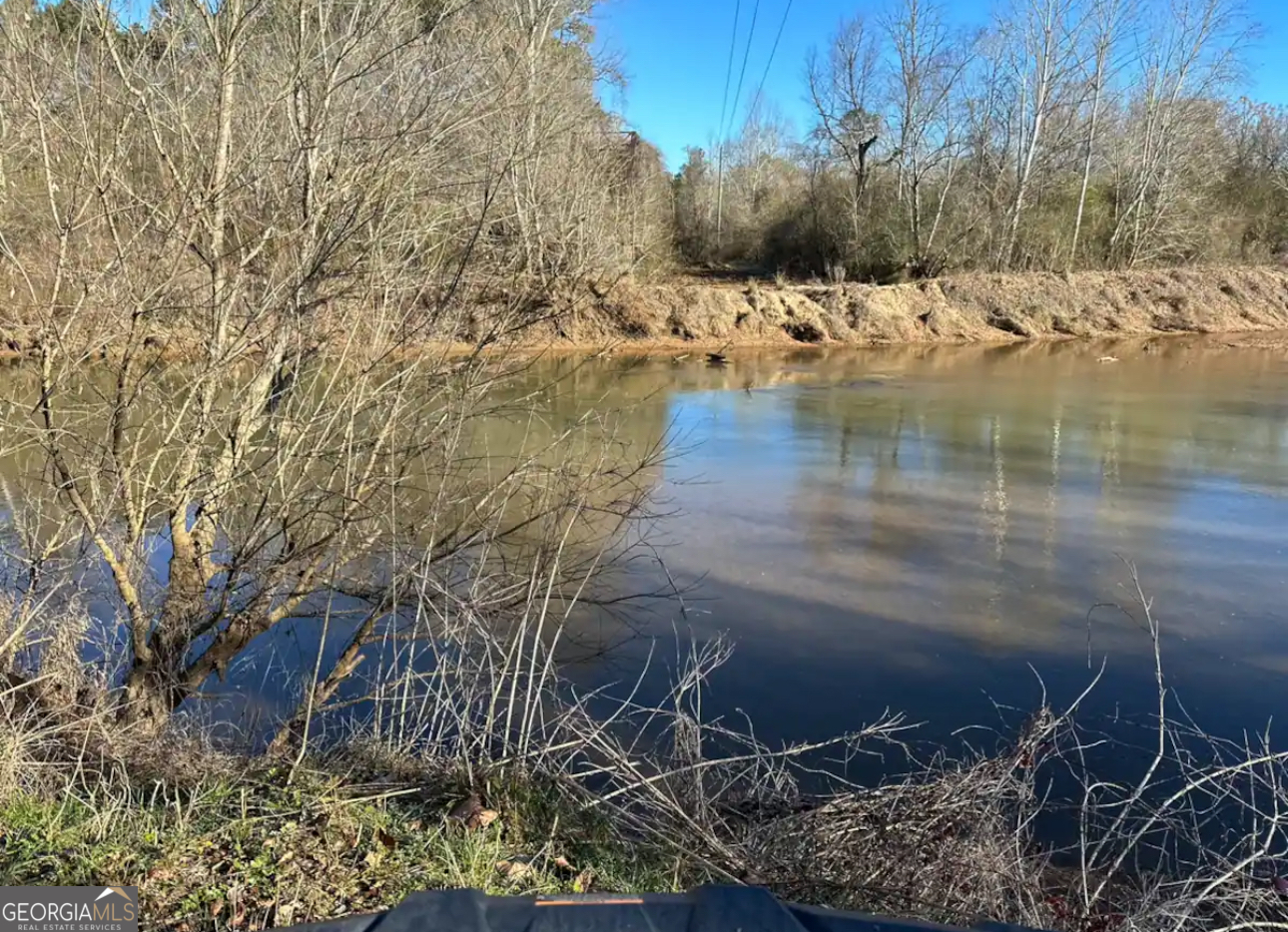 950 Island Shoals Road Jackson, GA 30233 - Photo 20 of 20 a view of a lake view