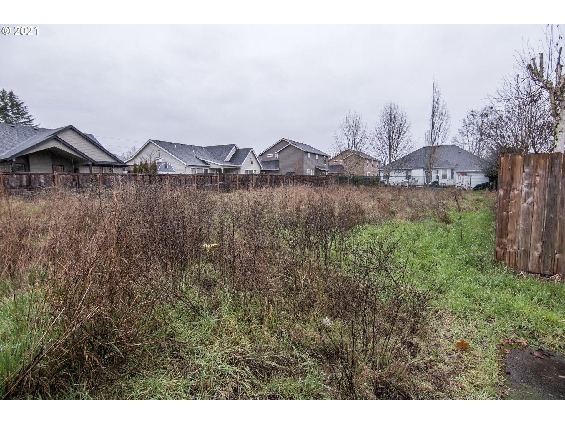 T Street Springfield, OR 97477 - Photo 4 of 6