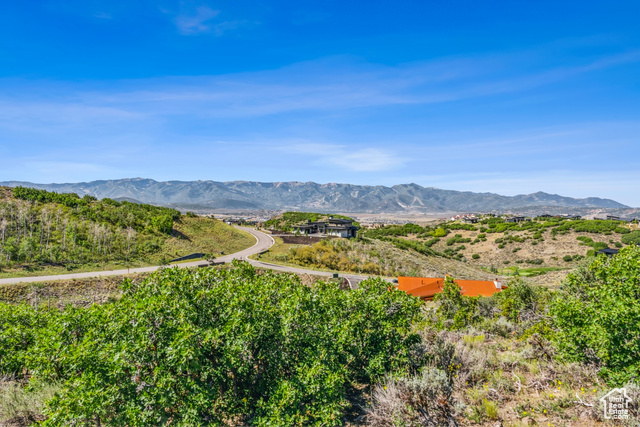 3575 Wapiti Cyn Road Park City, UT 84098 - Photo 4 of 32