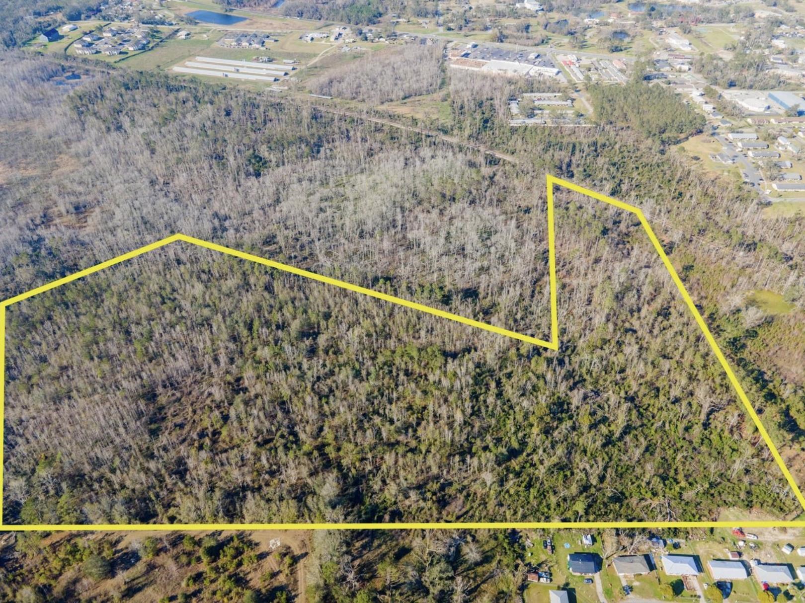 Vacant Southwest Jeanette Circle Madison, FL 32340 - Photo 1 of 18