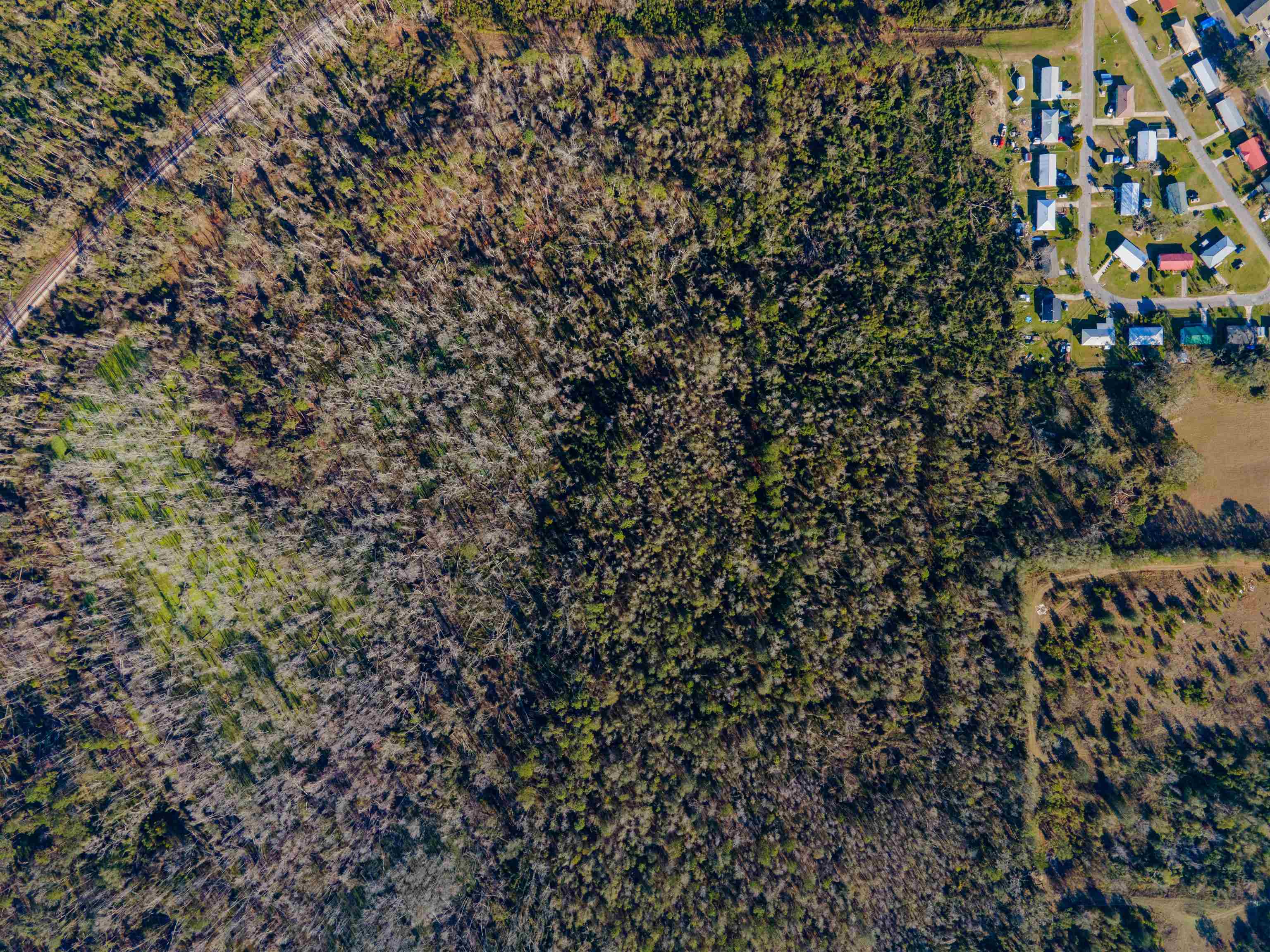 Vacant Southwest Jeanette Circle Madison, FL 32340 - Photo 11 of 18