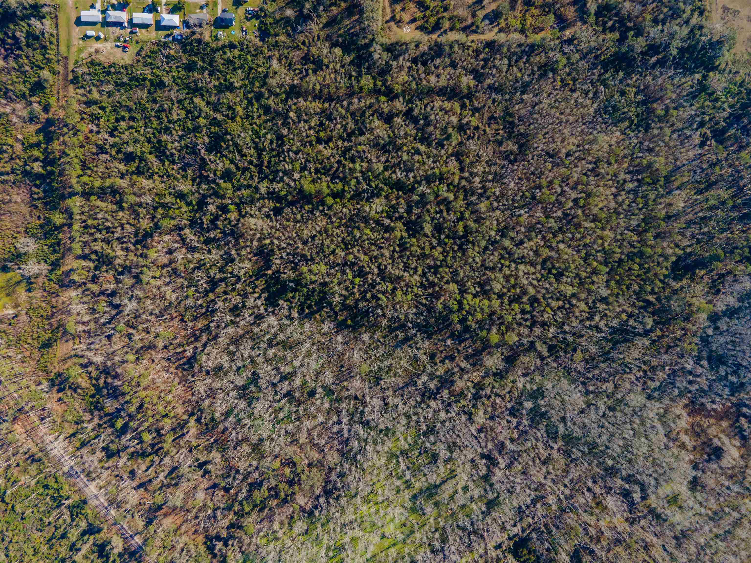 Vacant Southwest Jeanette Circle Madison, FL 32340 - Photo 12 of 18