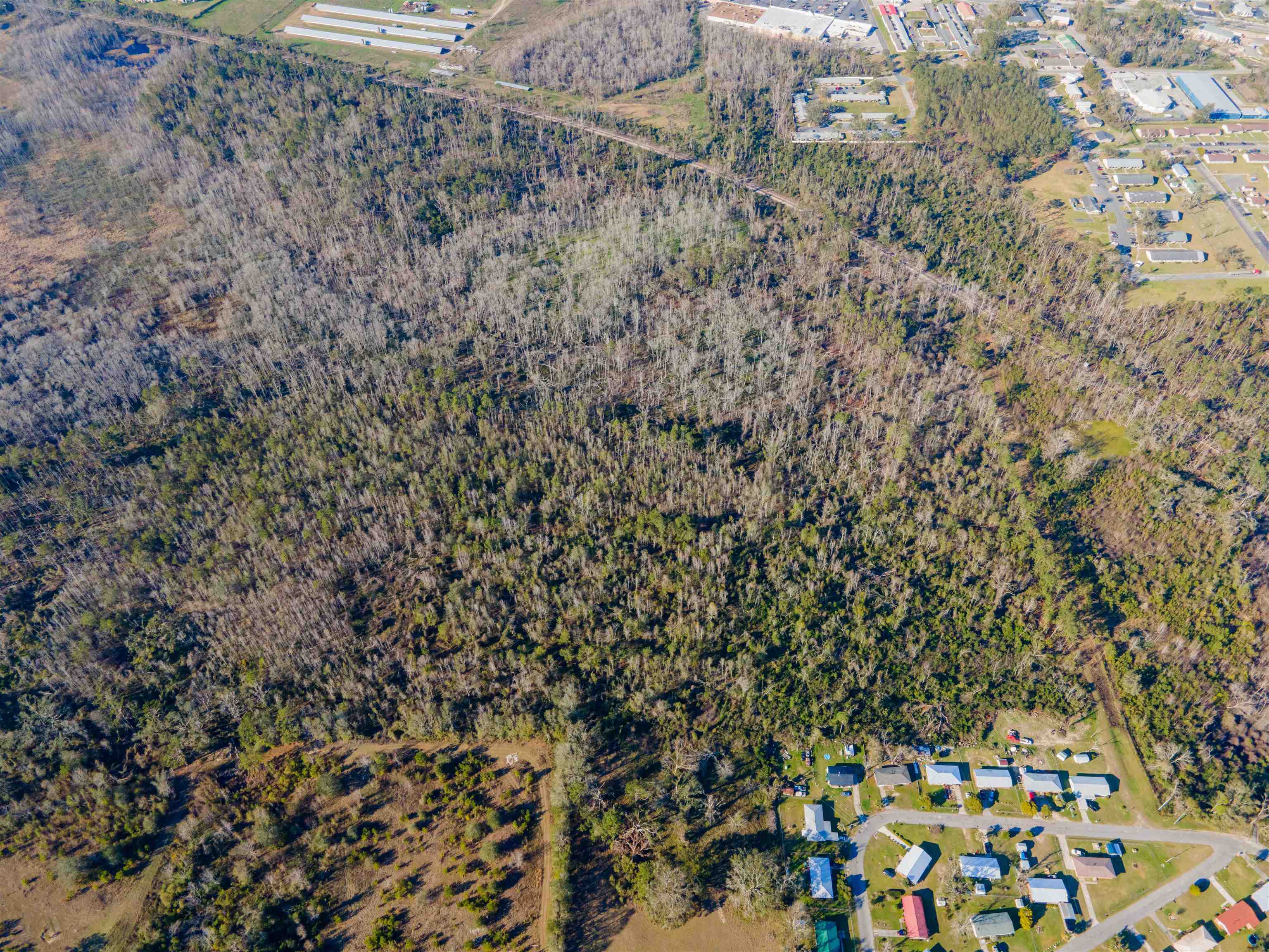 Vacant Southwest Jeanette Circle Madison, FL 32340 - Photo 15 of 18