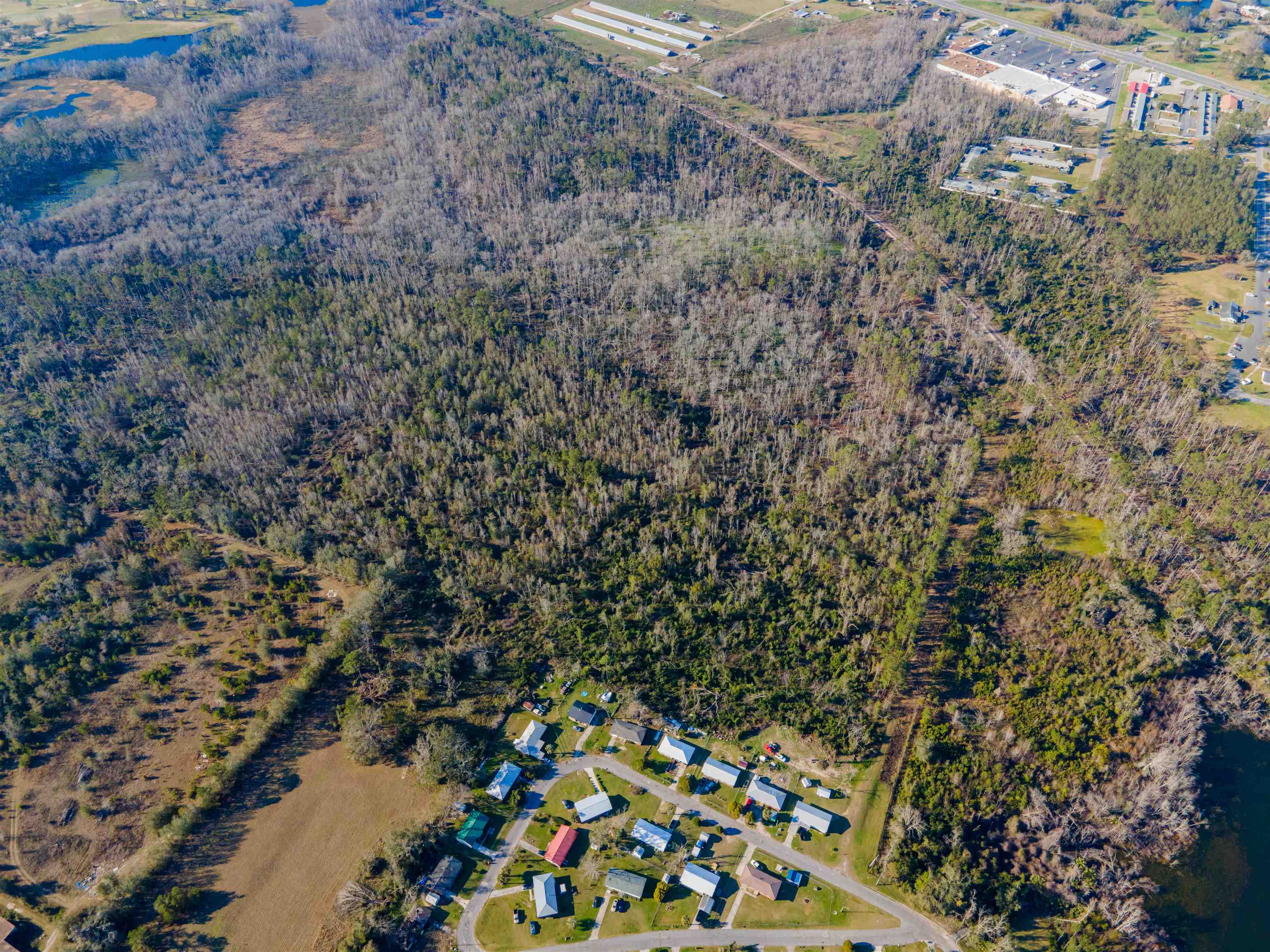 Vacant Southwest Jeanette Circle Madison, FL 32340 - Photo 18 of 18