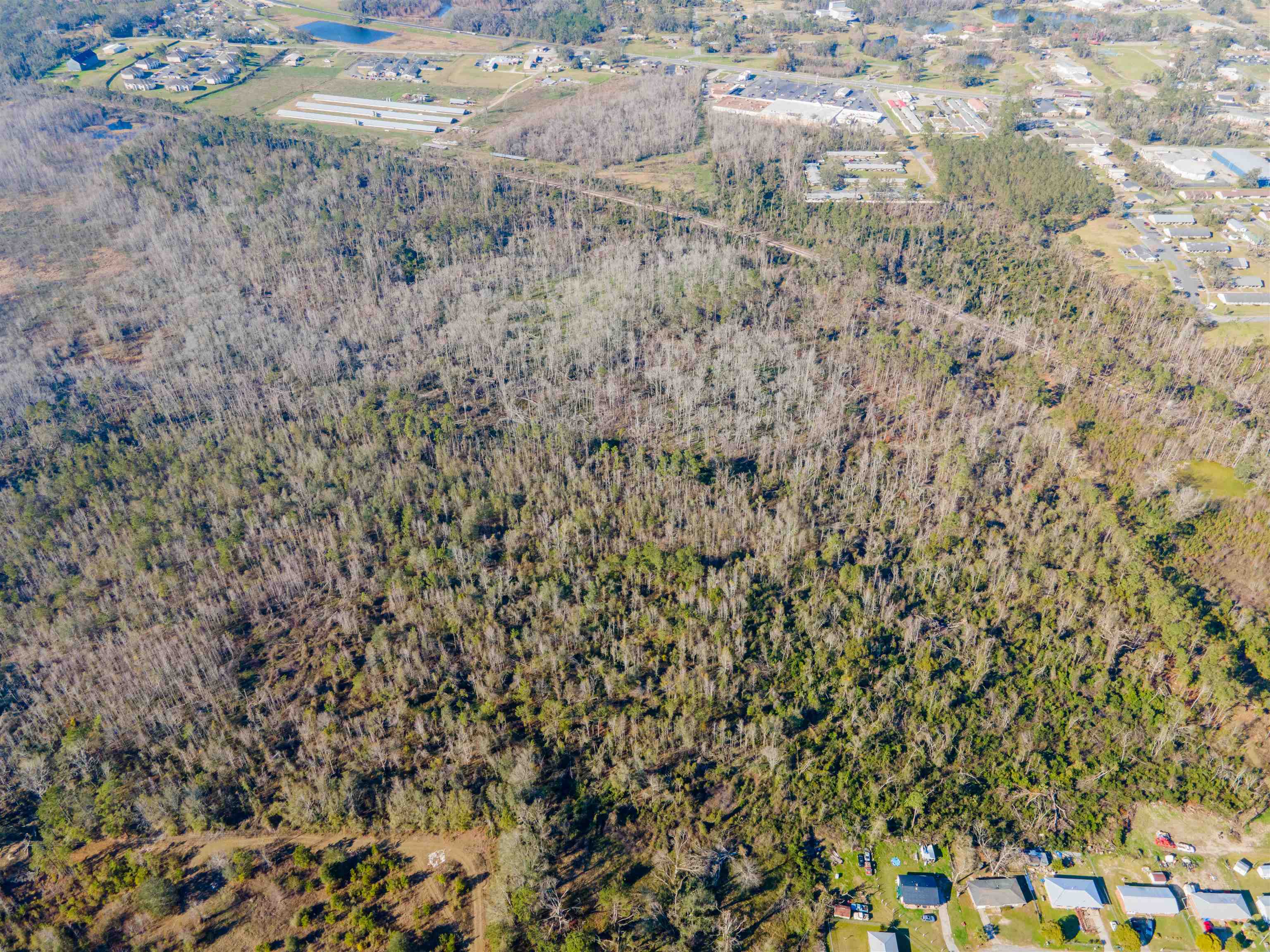 Vacant Southwest Jeanette Circle Madison, FL 32340 - Photo 2 of 18