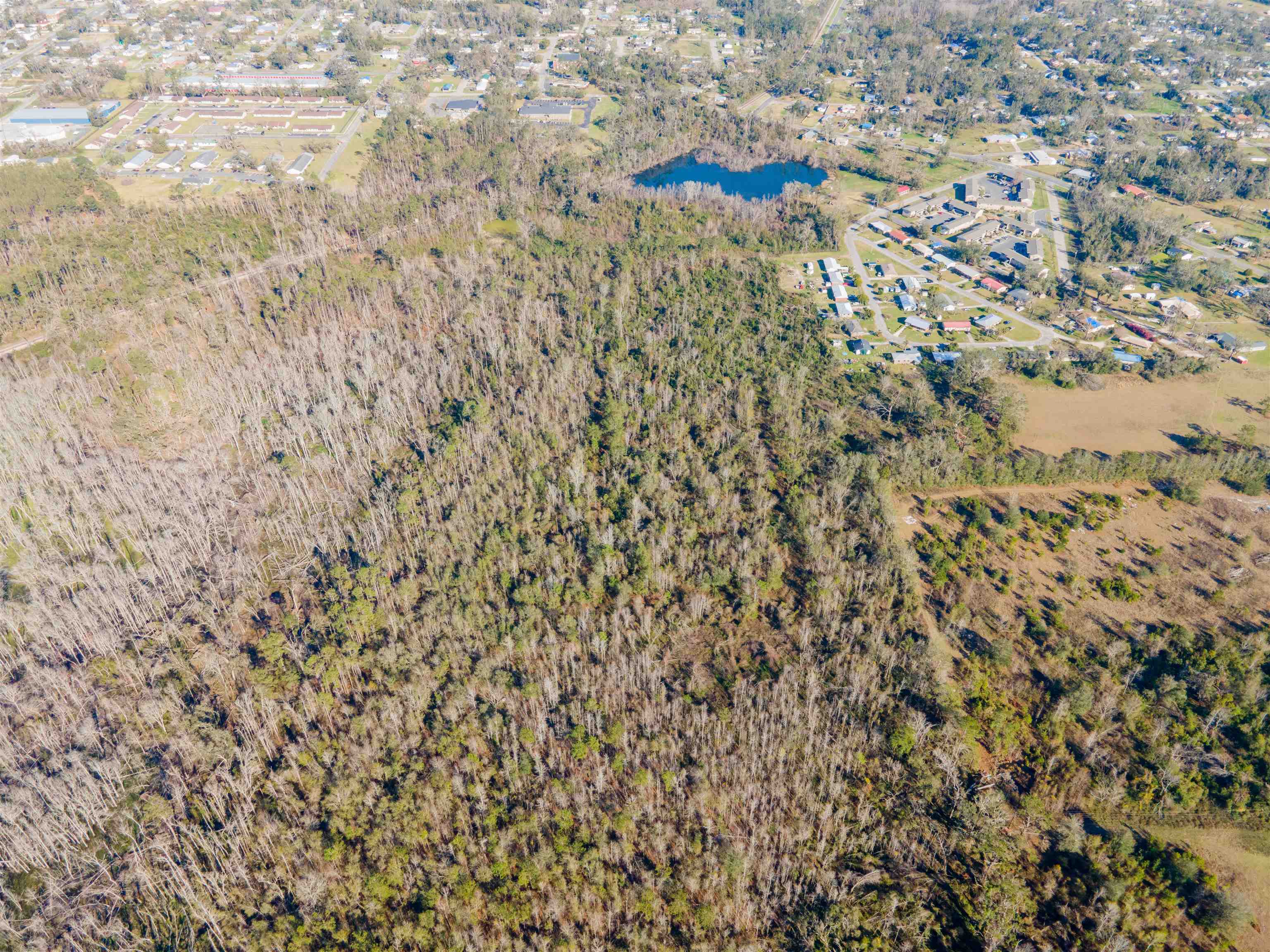 Vacant Southwest Jeanette Circle Madison, FL 32340 - Photo 4 of 18