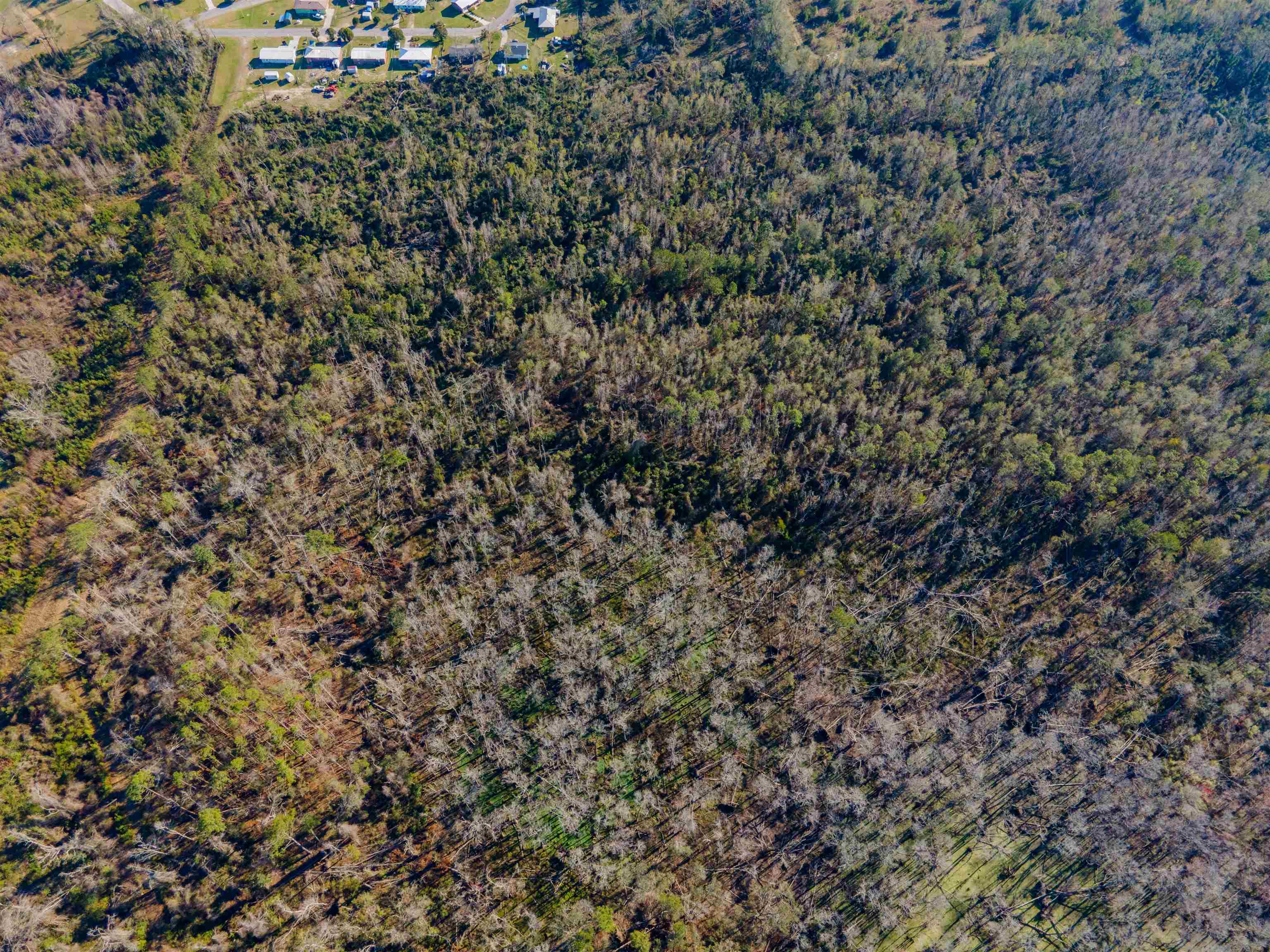 Vacant Southwest Jeanette Circle Madison, FL 32340 - Photo 5 of 18