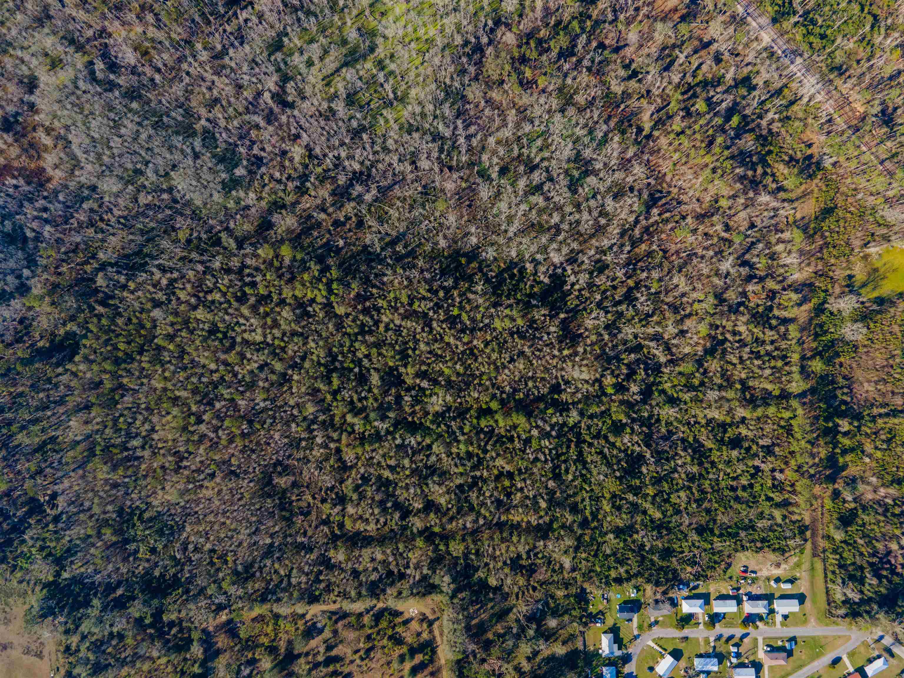 Vacant Southwest Jeanette Circle Madison, FL 32340 - Photo 10 of 18