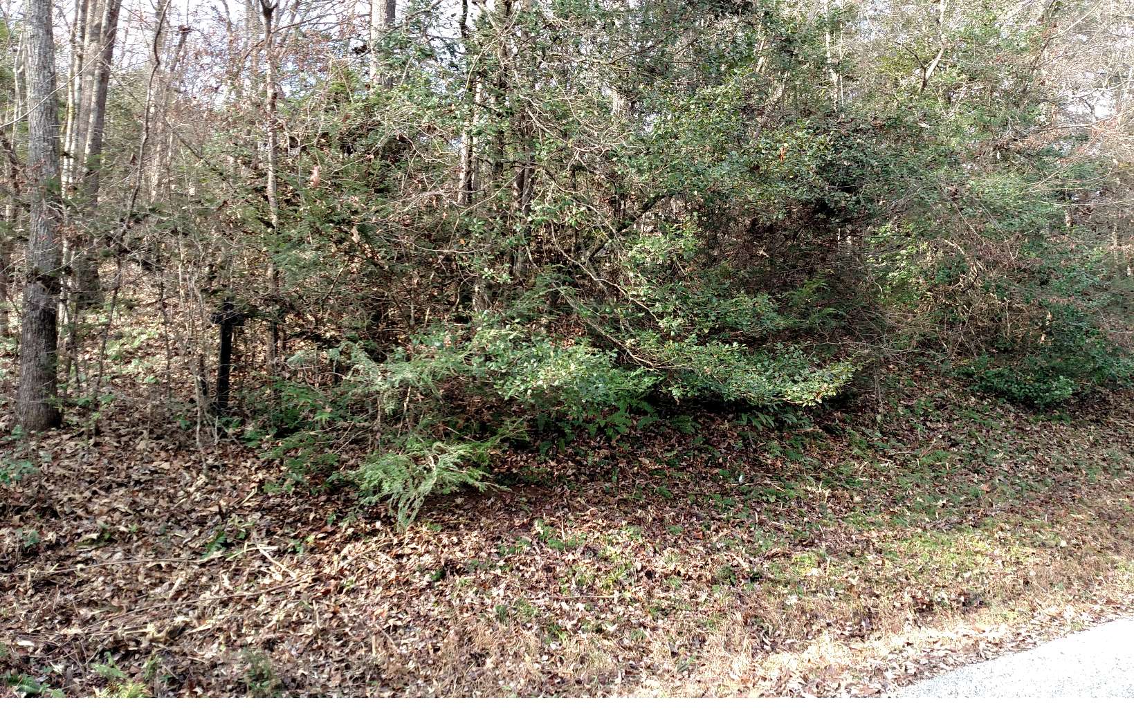 Eagle Bend Road Blairsville, GA 30512 - Photo 1 of 1 Main View