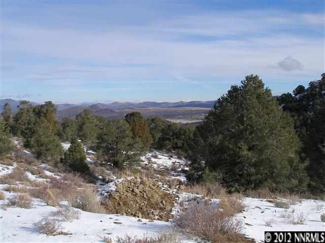 1381 Bonanza Road Reno, NV 89521 - Photo 1 of 1 a view of a yard with mountains in the background