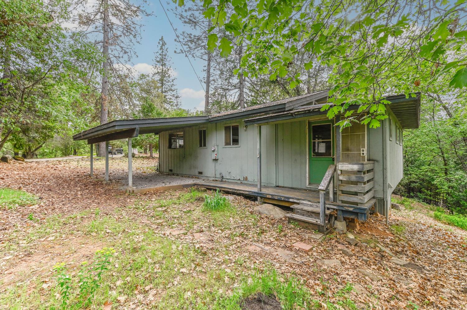 52 Iris Way West Point, CA 95255 - Photo 3 of 18