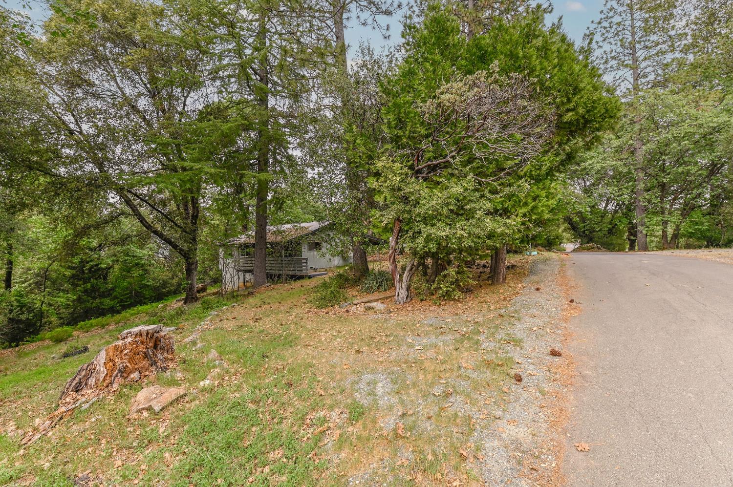 52 Iris Way West Point, CA 95255 - Photo 5 of 18