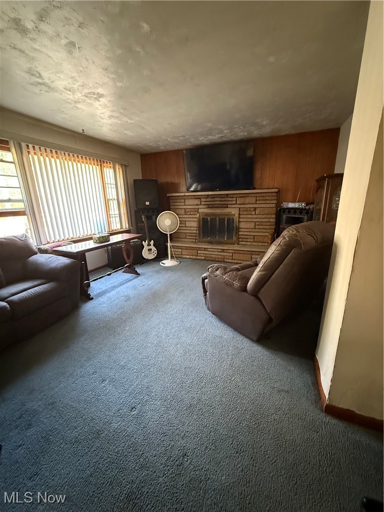 2302 Walter Main Road Geneva, OH 44041 - Photo 13 of 20 Living room with wood walls, carpet floors, and a fireplace