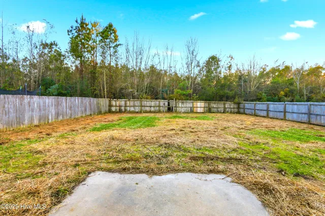 $1,600 | 107 Blossom Court, Maple Hill, NC 28454