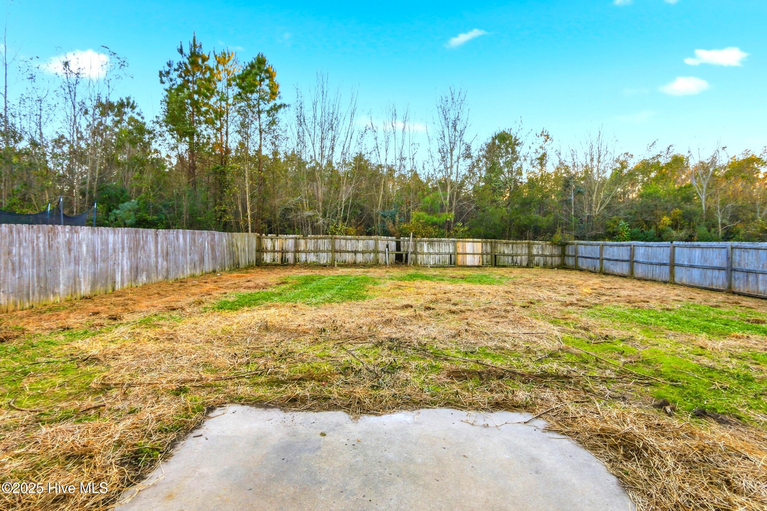 107 Blossom Court Maple Hill, NC 28454 - Photo 35 of 40 35_107 blossom ct - 35