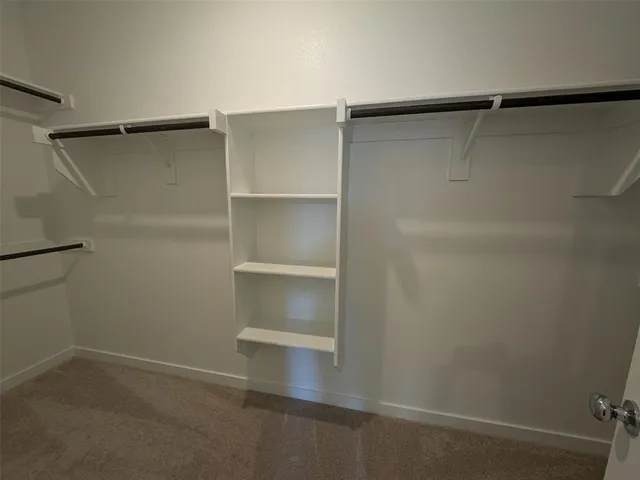 a bathroom with a shower and toilet