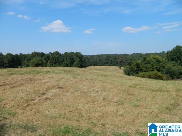 9545 Bankston Road, Unit 1 Dora, AL 35062 - Photo 1 of 1 Gallery Image 1