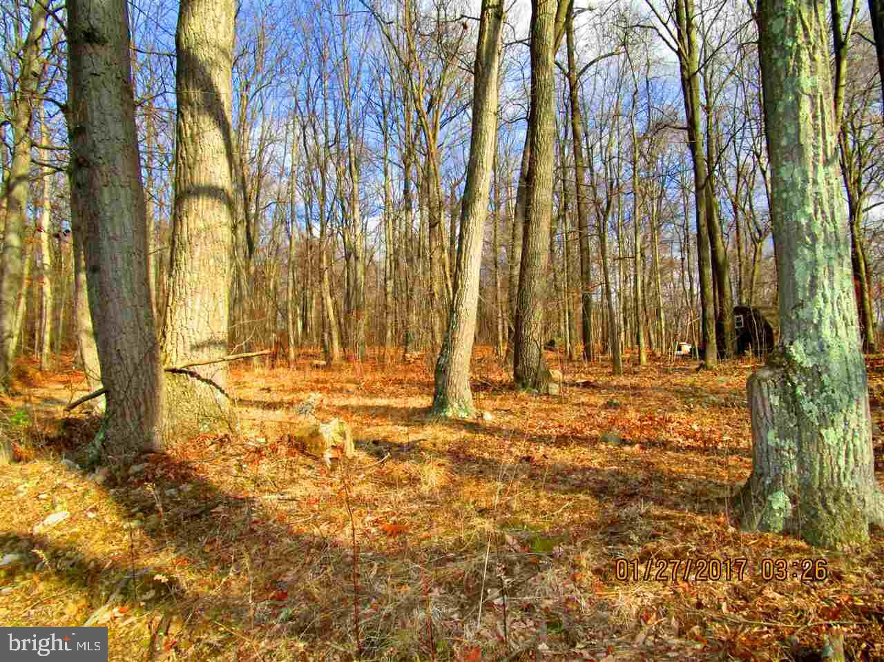 660 Old Quaker Road Etters, PA 17319 - Photo 27 of 32 Gallery Image 27