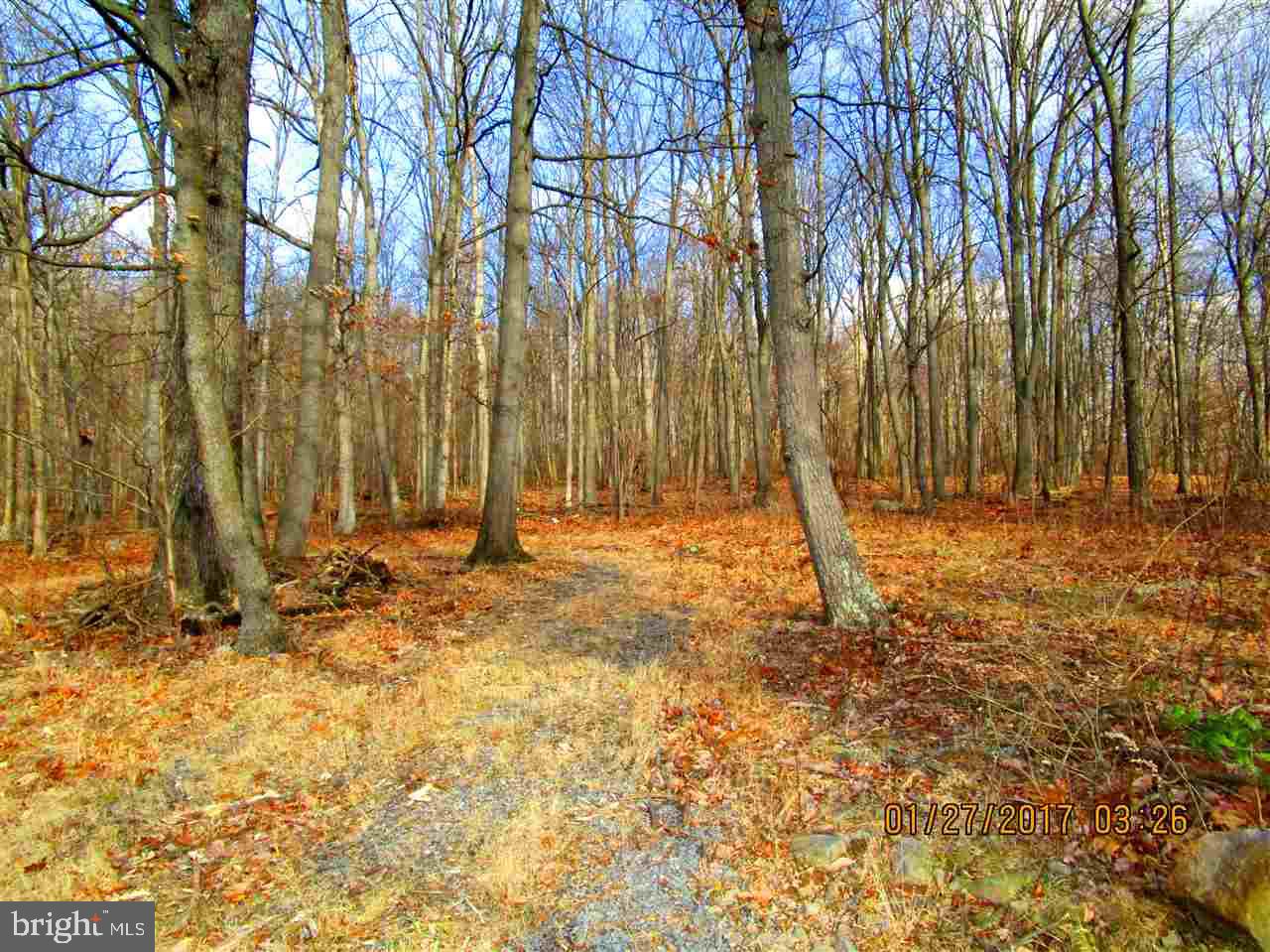 660 Old Quaker Road Etters, PA 17319 - Photo 28 of 32 Gallery Image 28